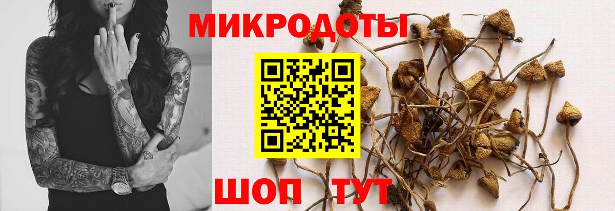 Галлюциногенные грибы ЛСД  Вход с VPN  Новороссийск 