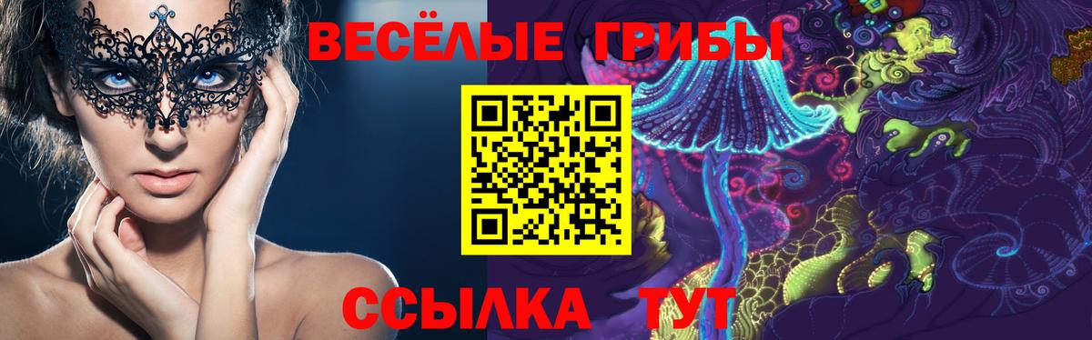 Галлюциногенные грибы Magic Shrooms Новороссийск